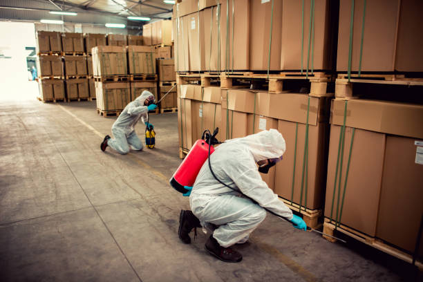 Best Flea Control Services  in Suncook, NH