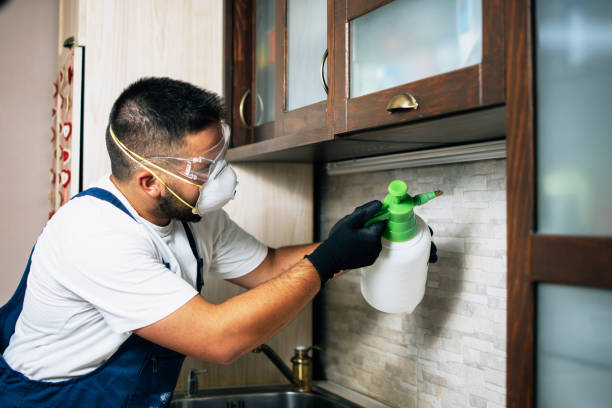 Best Mosquito Control Services  in Suncook, NH