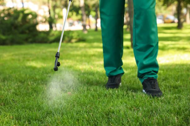 Best Pest Control Near Me in Suncook, NH