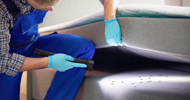 Best Best Pest Control Companies  in Suncook, NH