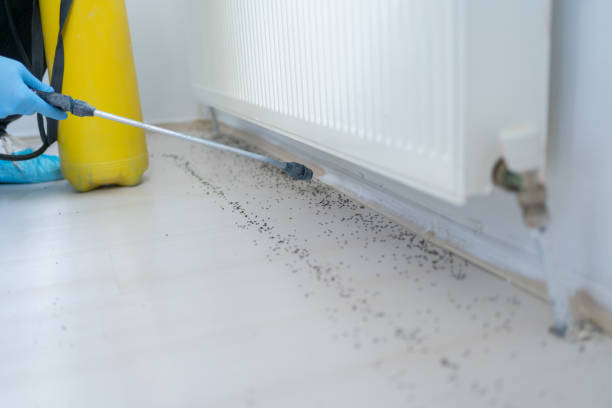 Best Commercial Pest Control Services  in Suncook, NH