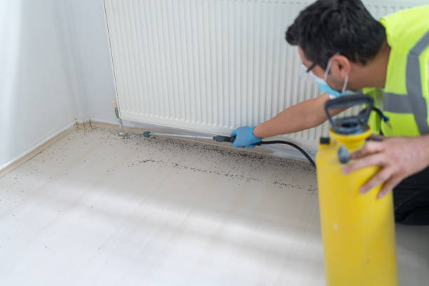 Best Bed Bug Extermination  in Suncook, NH